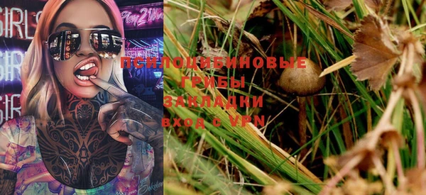 трава Белокуриха