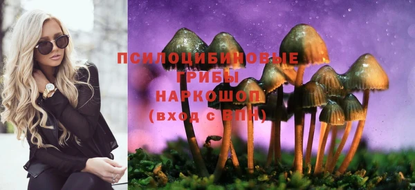 спайс Беломорск