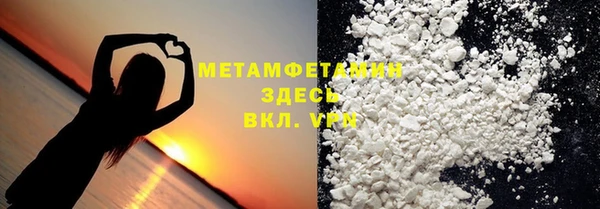 прущие грибы Балахна